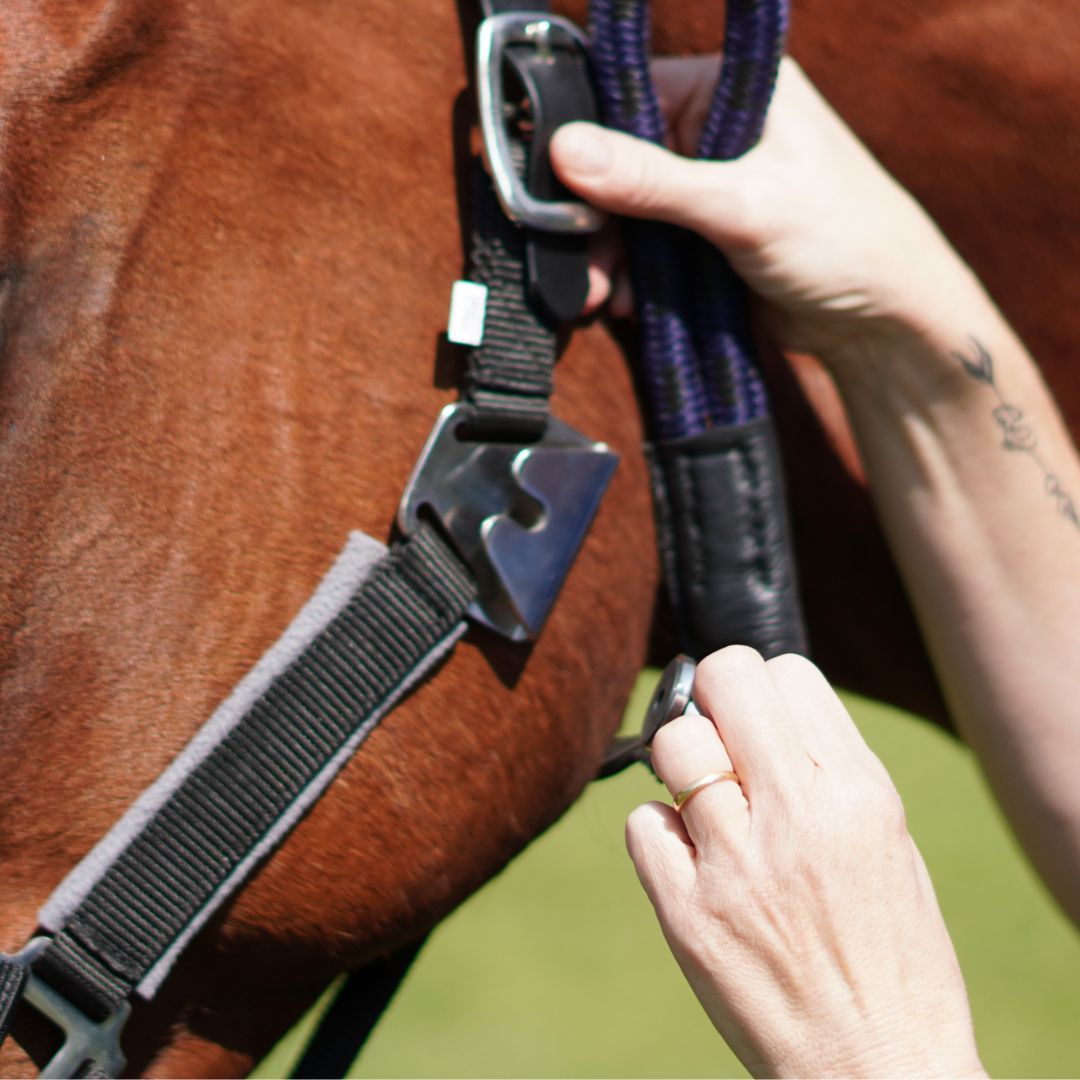 Correct Connect - Magna Halter ™ in Black with Fleece Noseband and Leather Breakaway