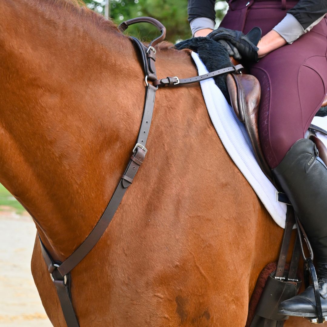 Correct Connect - 3-Point Breastplate with Double Neck Strap