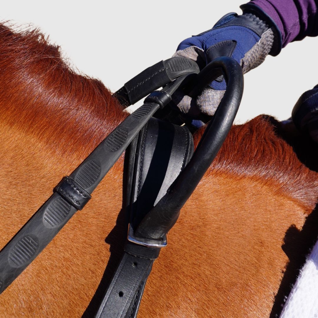 Correct Connect - Free Motion Breastplate with Double Neck Strap