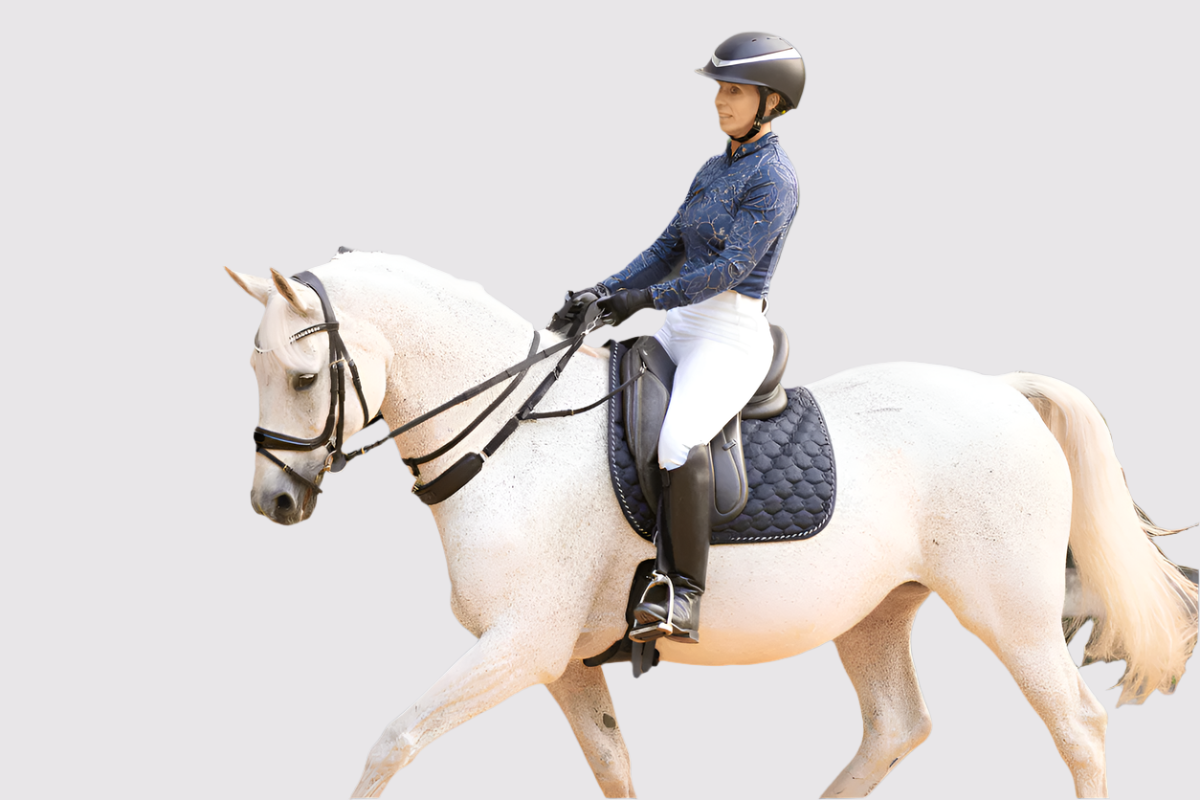 Correct Connect - 3-in-1 Training Breastplate