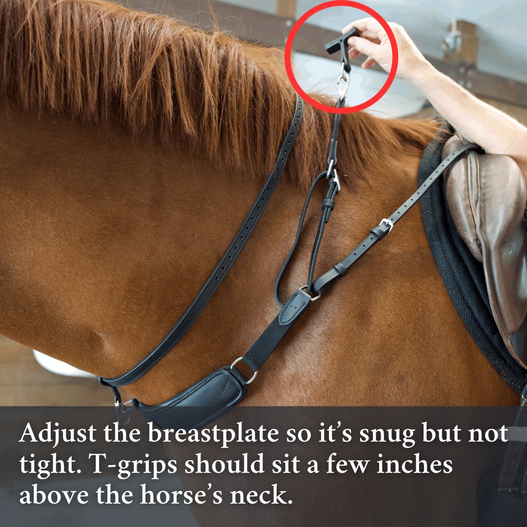 Correct Connect - 3-in-1 Training Breastplate