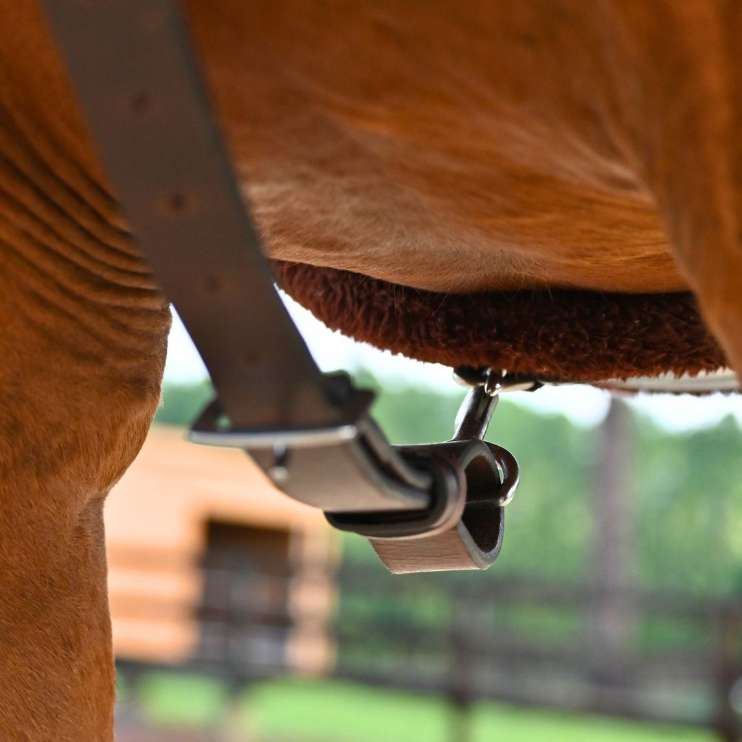 Correct Connect - 3-Point Breastplate with Double Neck Strap