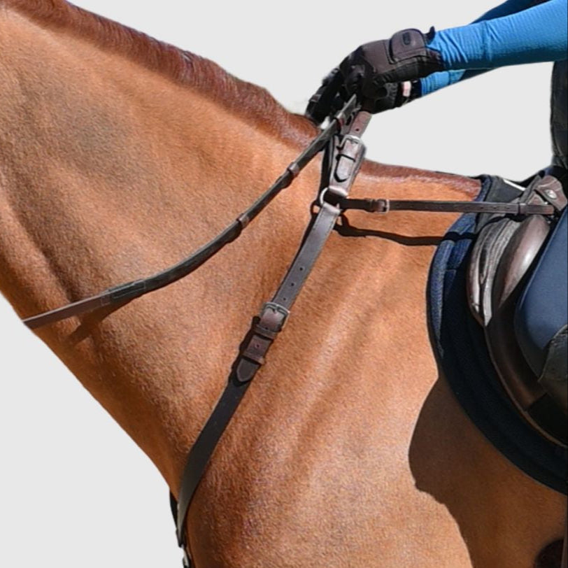 Correct Connect - 3-Point Breastplate with Double Neck Strap