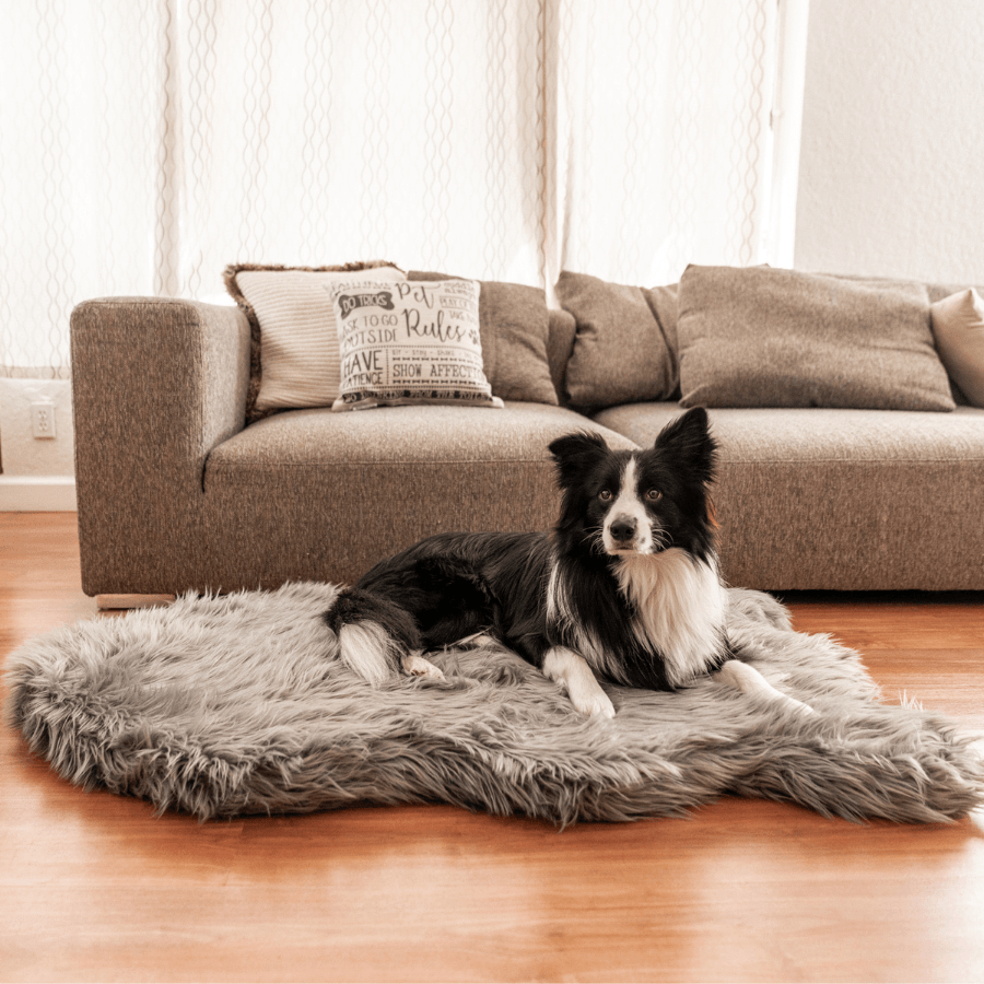 PupRug by Paw.com® Faux Fur Orthopedic Dog Bed - Curve Charcoal Grey