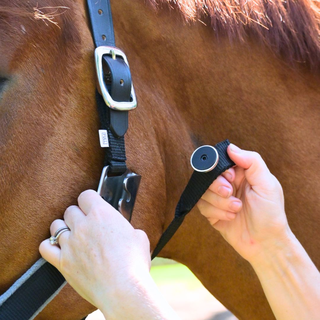 Correct Connect - Magna Halter ™ in Black with Fleece Noseband and Leather Breakaway