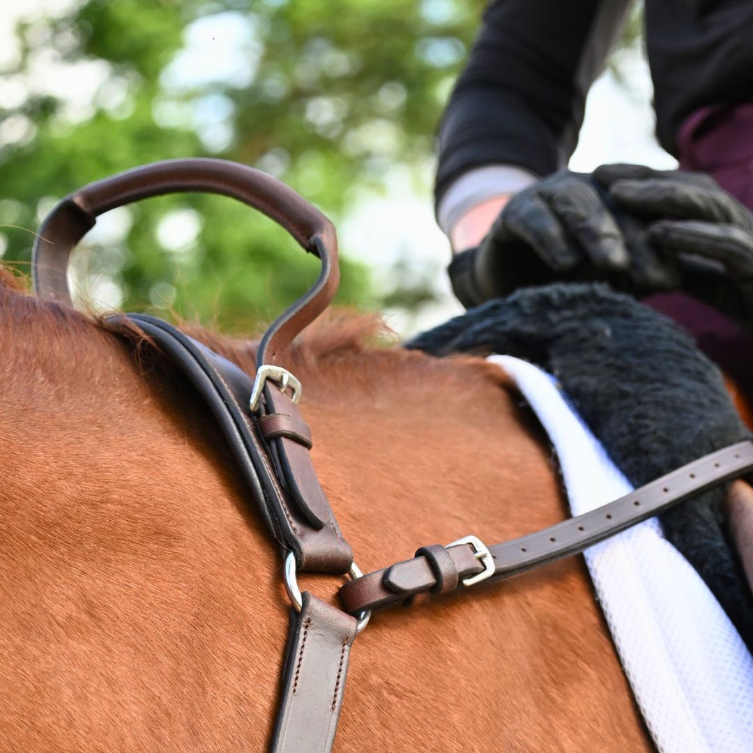 Correct Connect - 3-Point Breastplate with Double Neck Strap