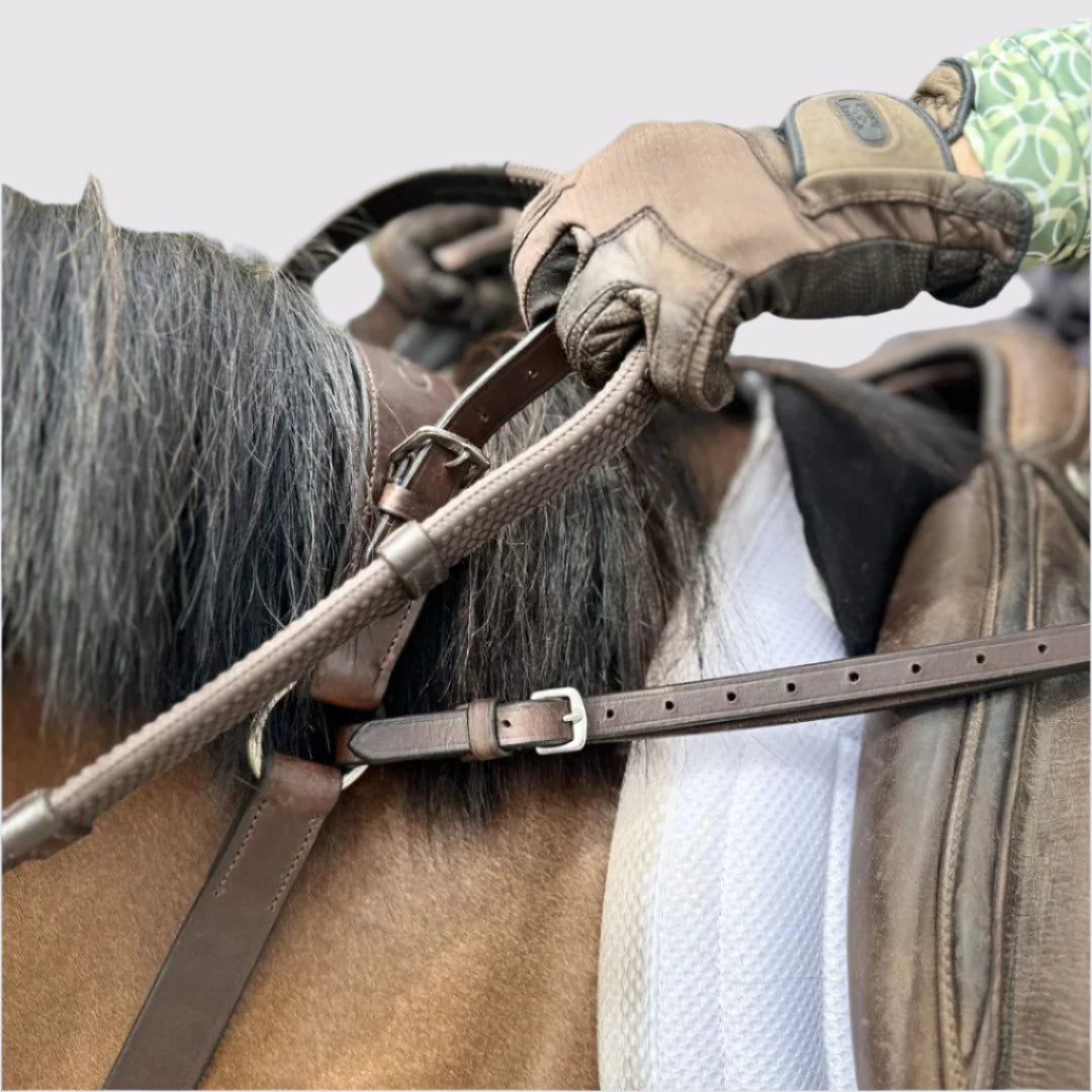 Correct Connect - 3-Point Breastplate with Double Neck Strap