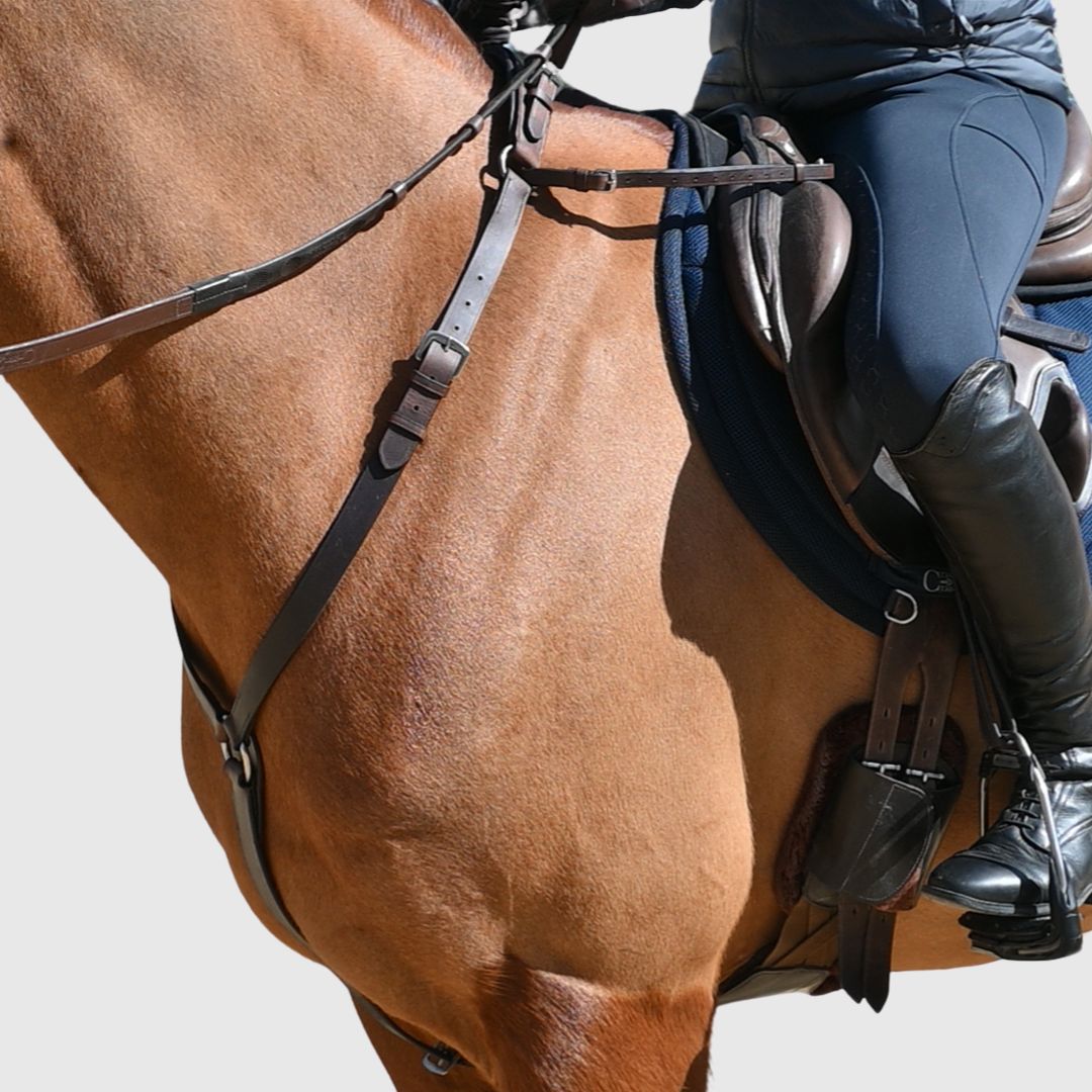 Correct Connect - 3-Point Breastplate with Double Neck Strap