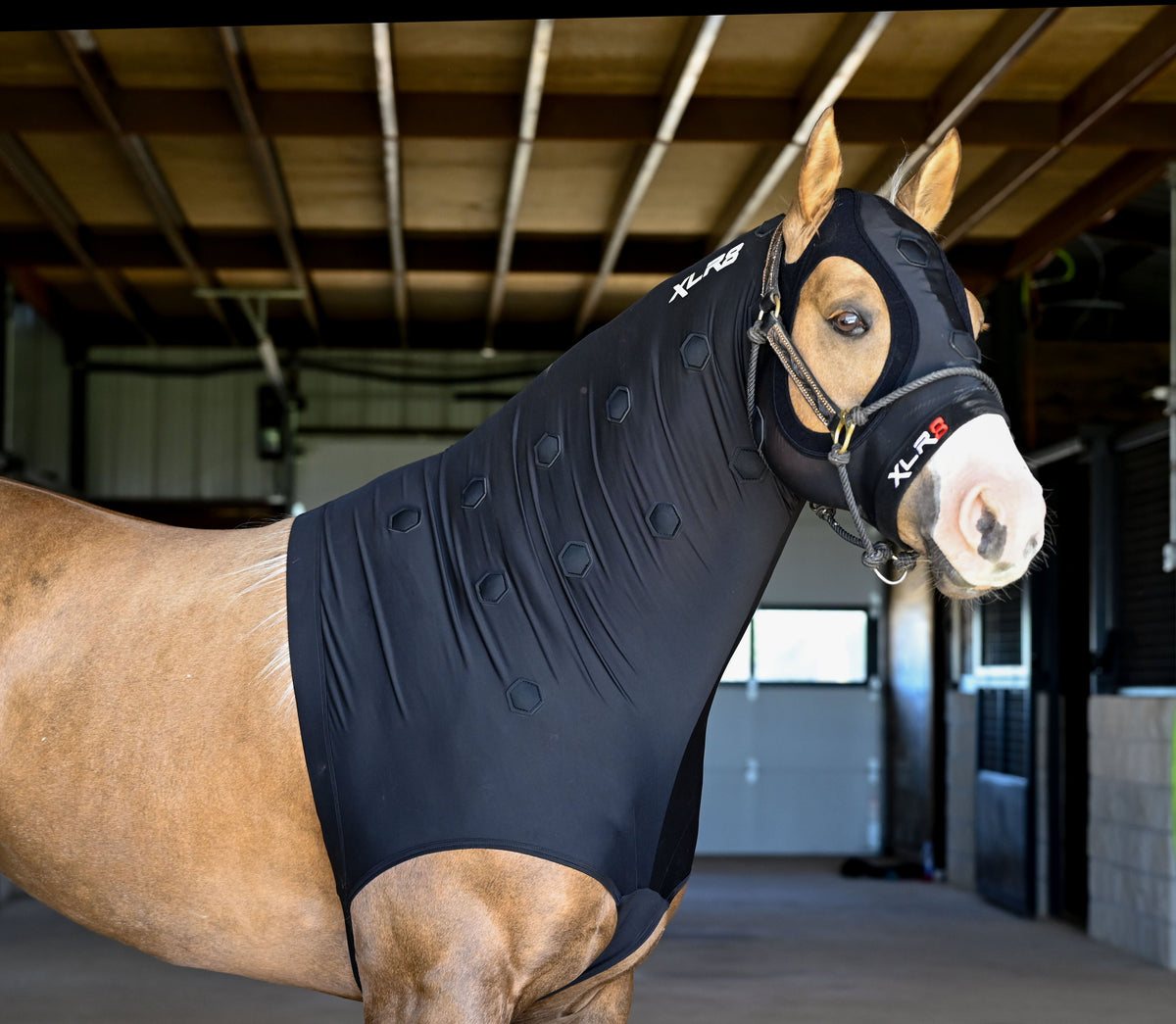 XLR8 Equine - Velocity Hood