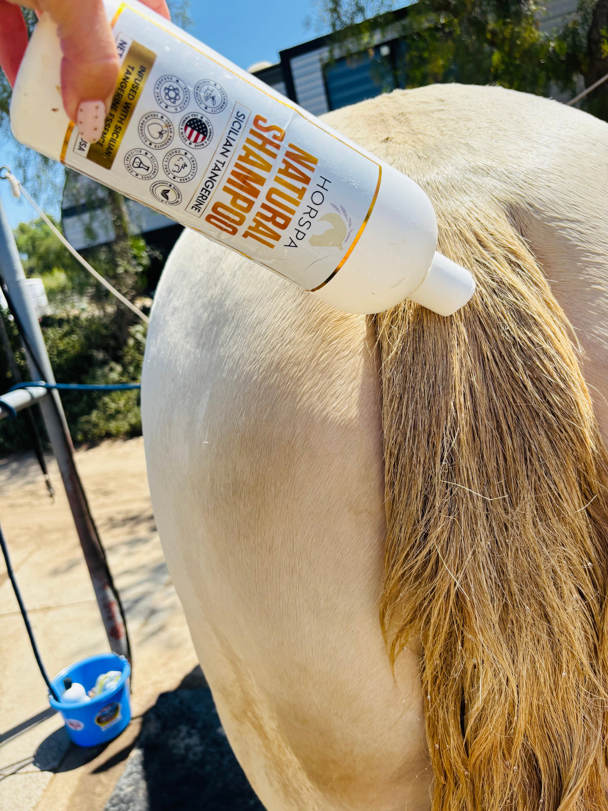 Horspa - Natural Horse Shampoo Sicilian Tangerine 32oz