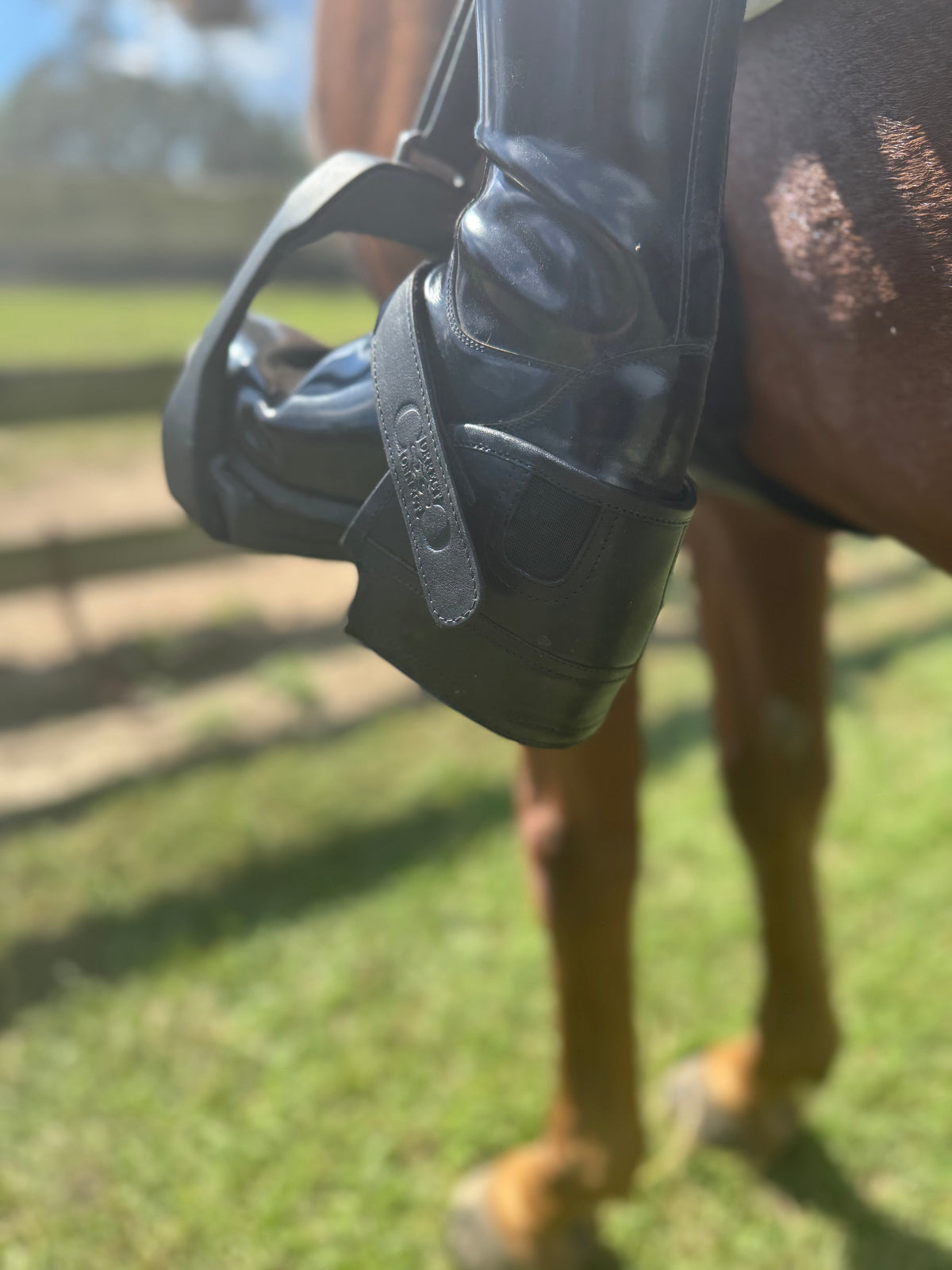 Correct Connect - Equisole EXternal-Weighted Training Aid for Equestrians