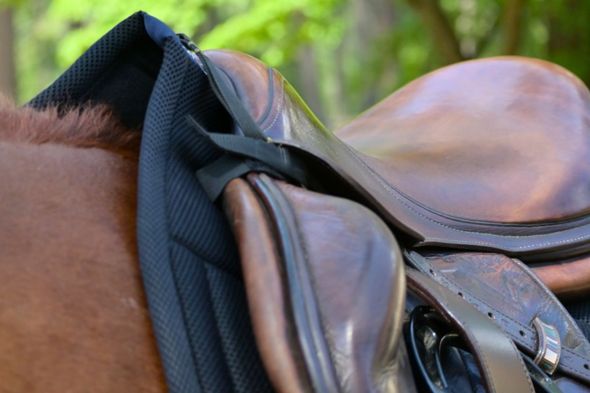 Correct Connect - Jump Mesh Saddle Pad with Quick Dry Cotton Lining in Navy, White, or Black