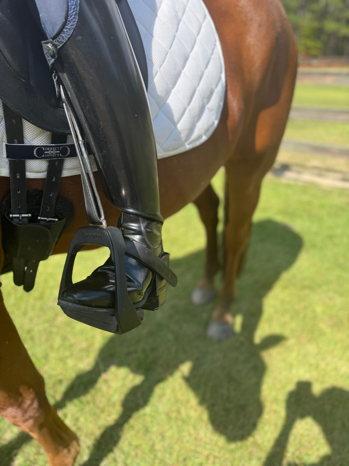 Correct Connect - Equisole EXternal-Weighted Training Aid for Equestrians