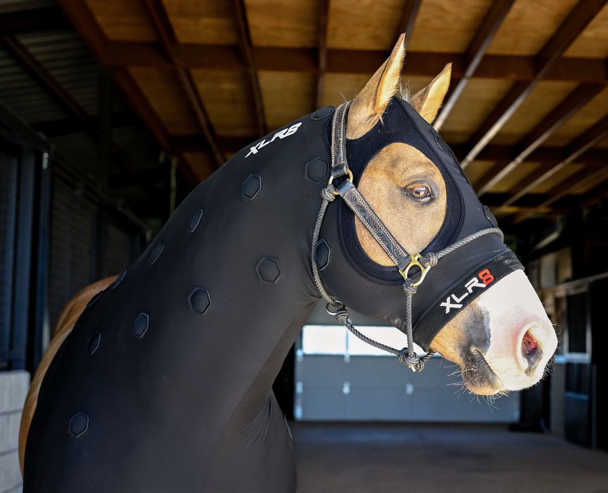 XLR8 Equine - Velocity Hood