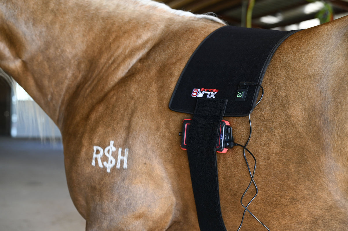 XLR8 Equine - Redline VersaWrap
