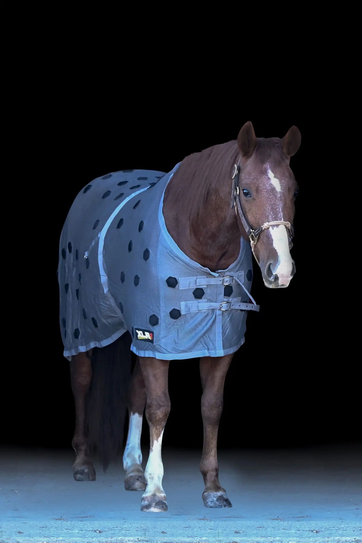 XLR8 Equine - Velocity Sheet - Gray
