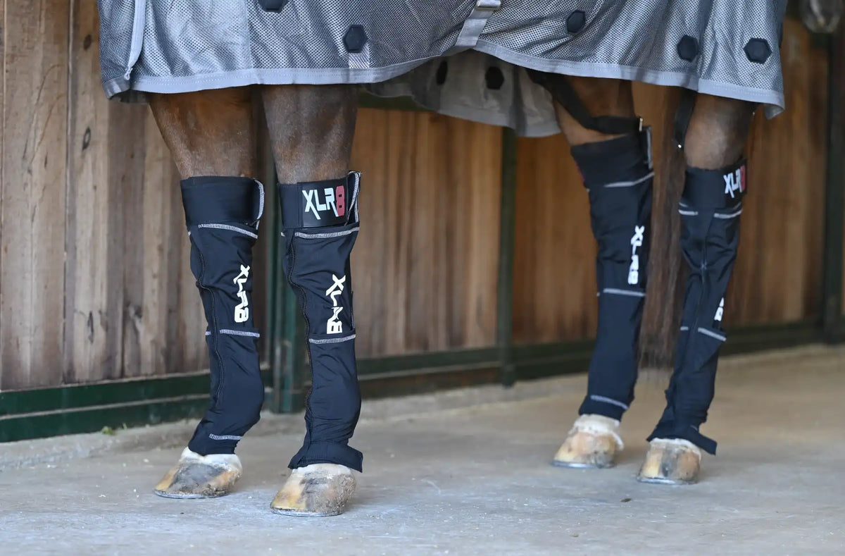 XLR8 Equine - Cryo Boot : Ice Boots