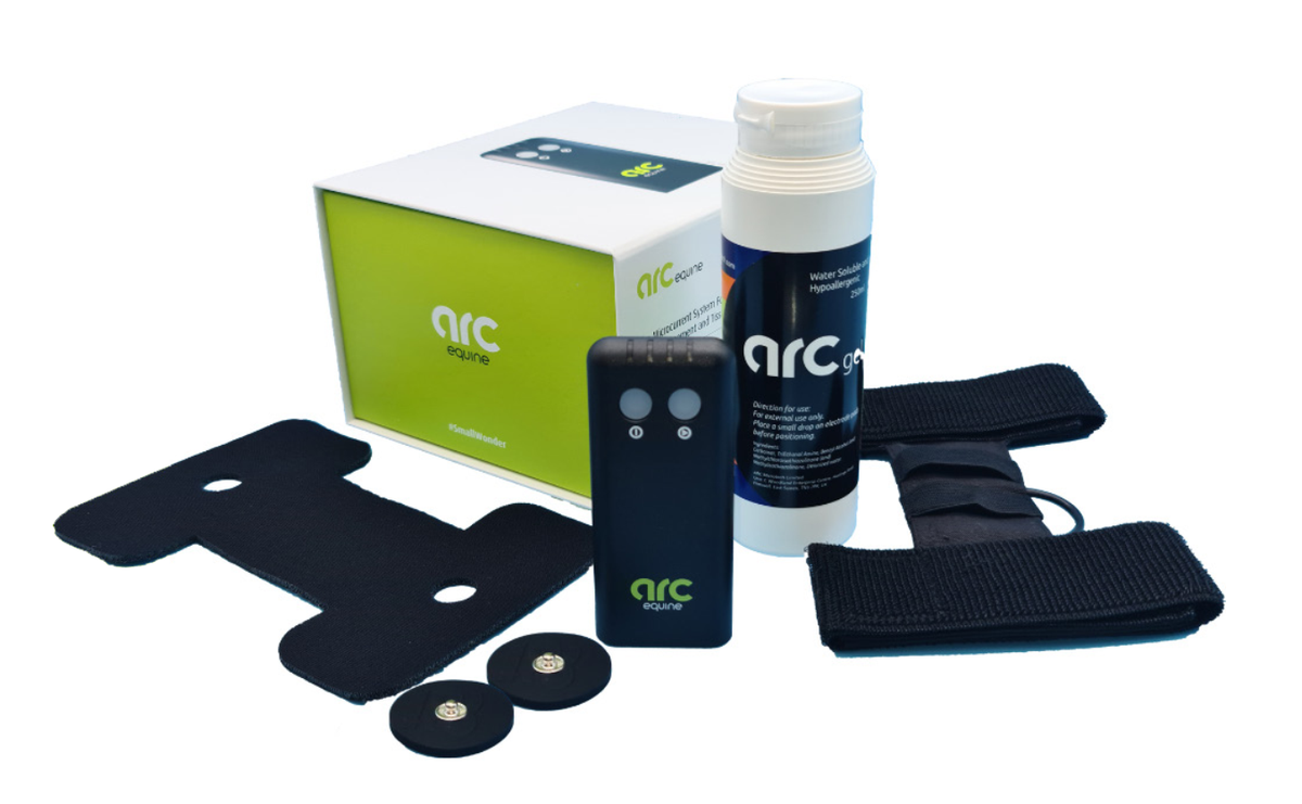 ARC Equine Therapy System