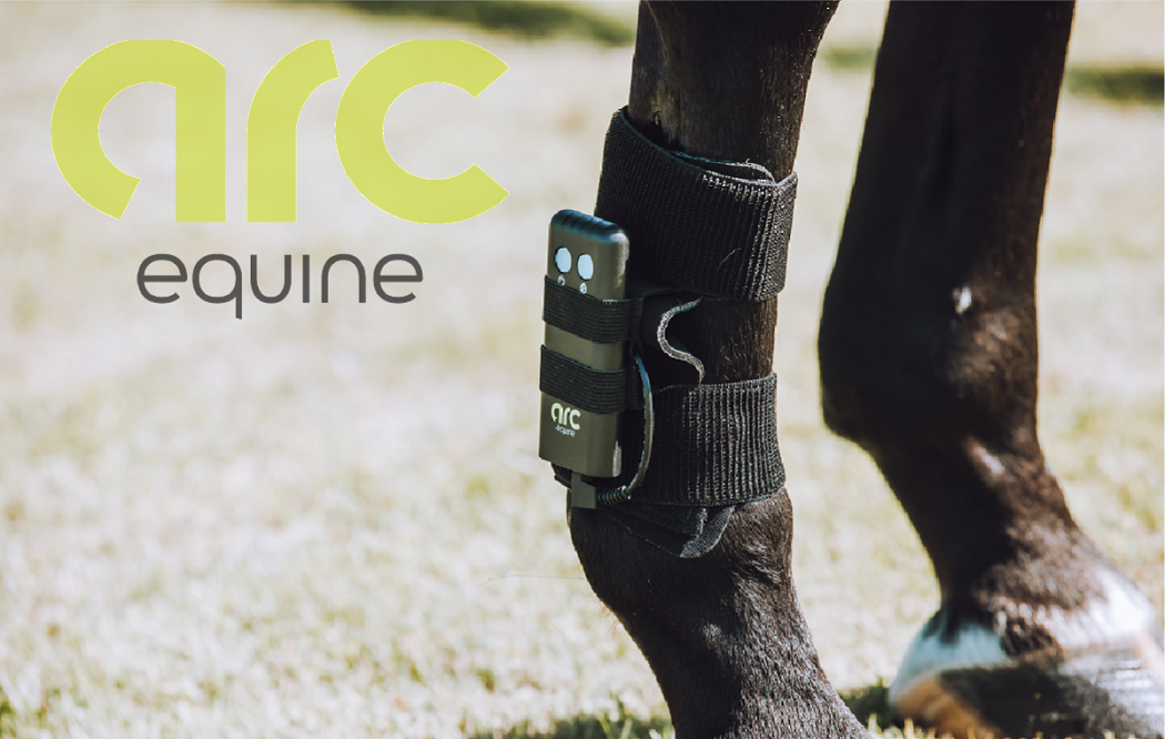 ARC Equine Therapy System Leg Strap Liner