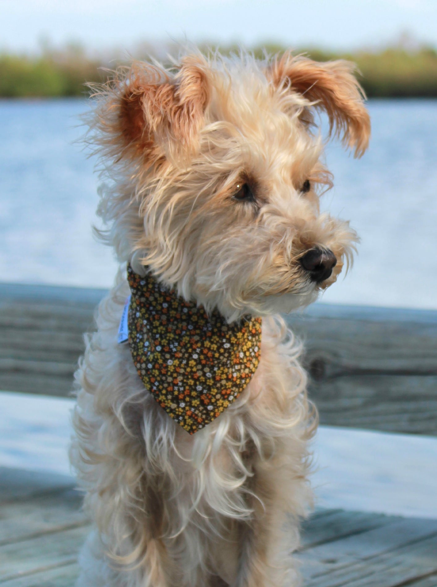 MODERNBEAST Floral Bandana