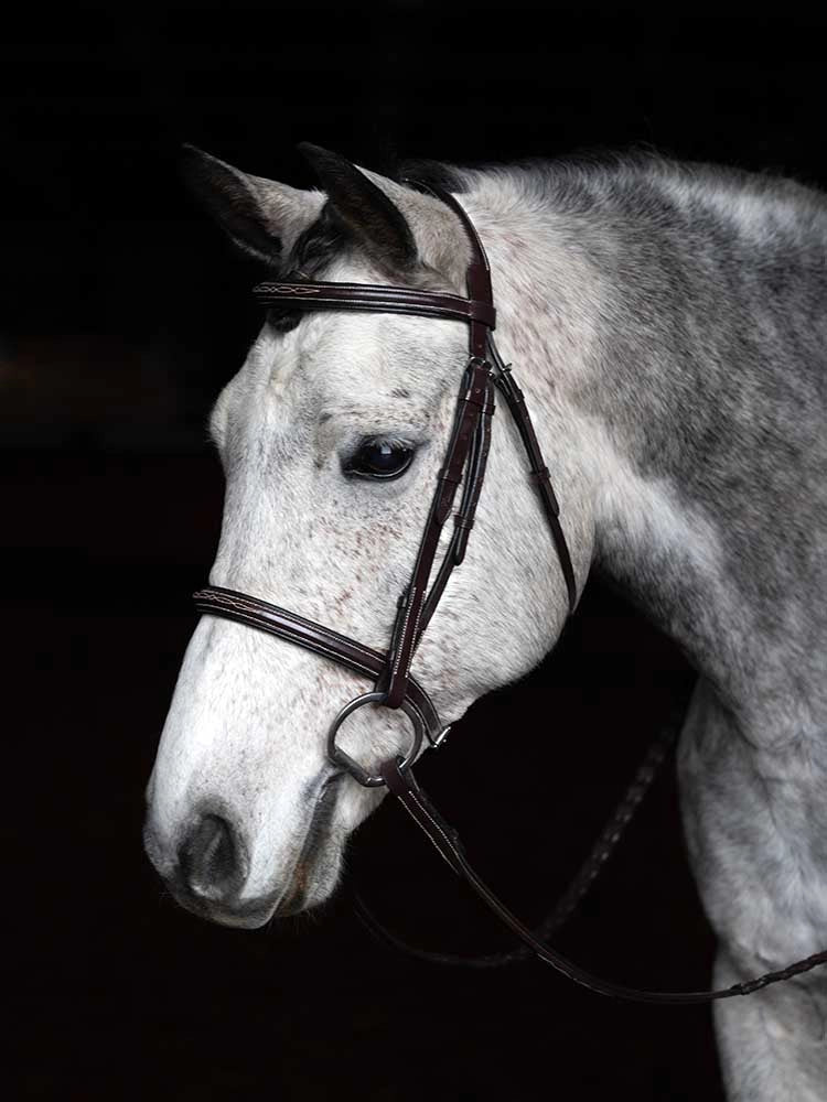 Grewal Equestrian - Arnold IV Square Raised Hunter Bridle