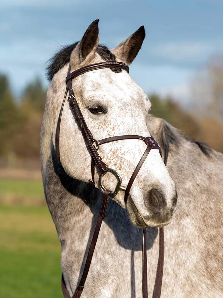 Grewal Equestrian - Augusta Figure 8 Bridle