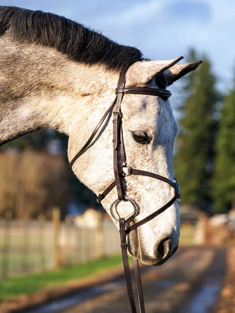 Grewal Equestrian - Augusta Figure 8 Bridle