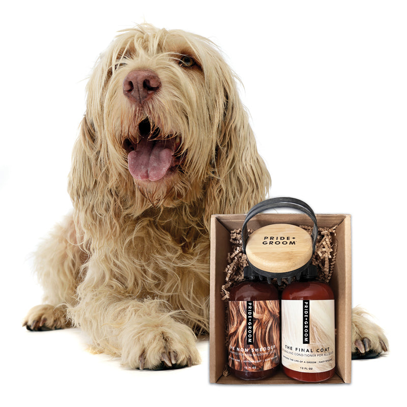 PRIDE+GROOM THE BATH BRUSH Dual-Use Silicone Grooming Brush — De-Shedding, Massaging & Waterproof Tool for Dogs