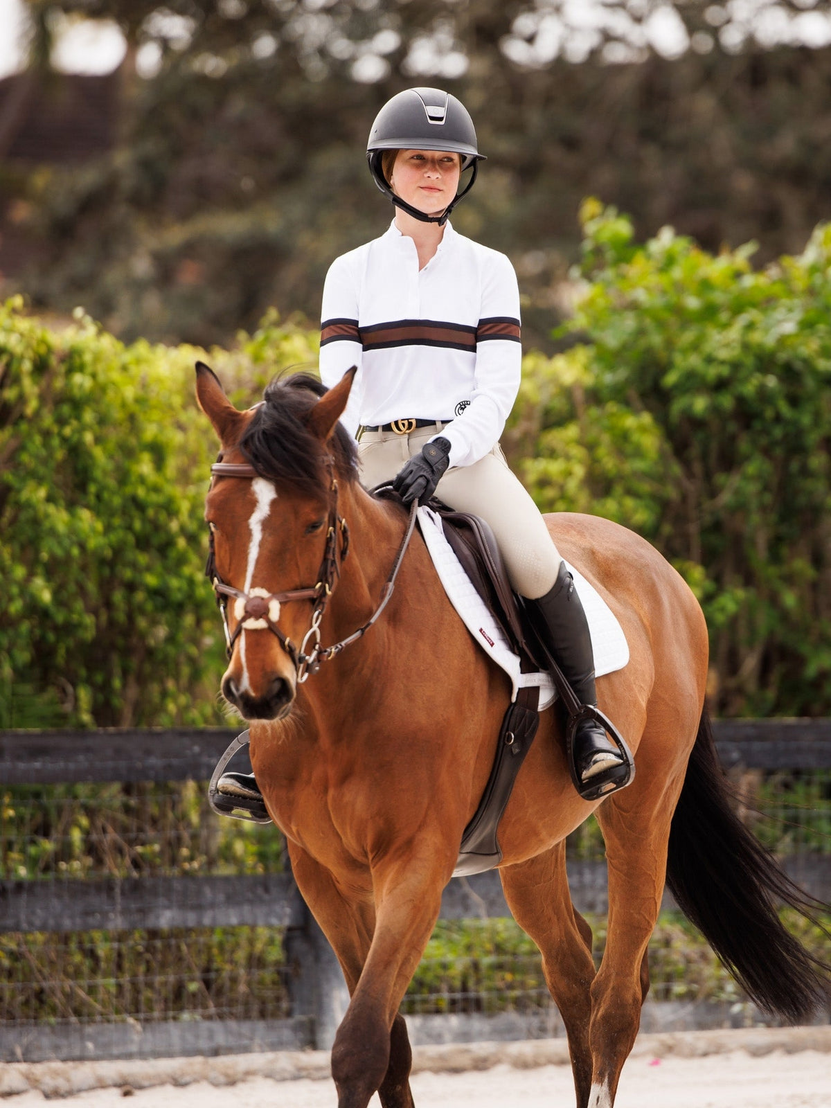 Essex Classics - Cambridge Ladies Long Sleeve Show Shirt - White with Black & Chocolate
