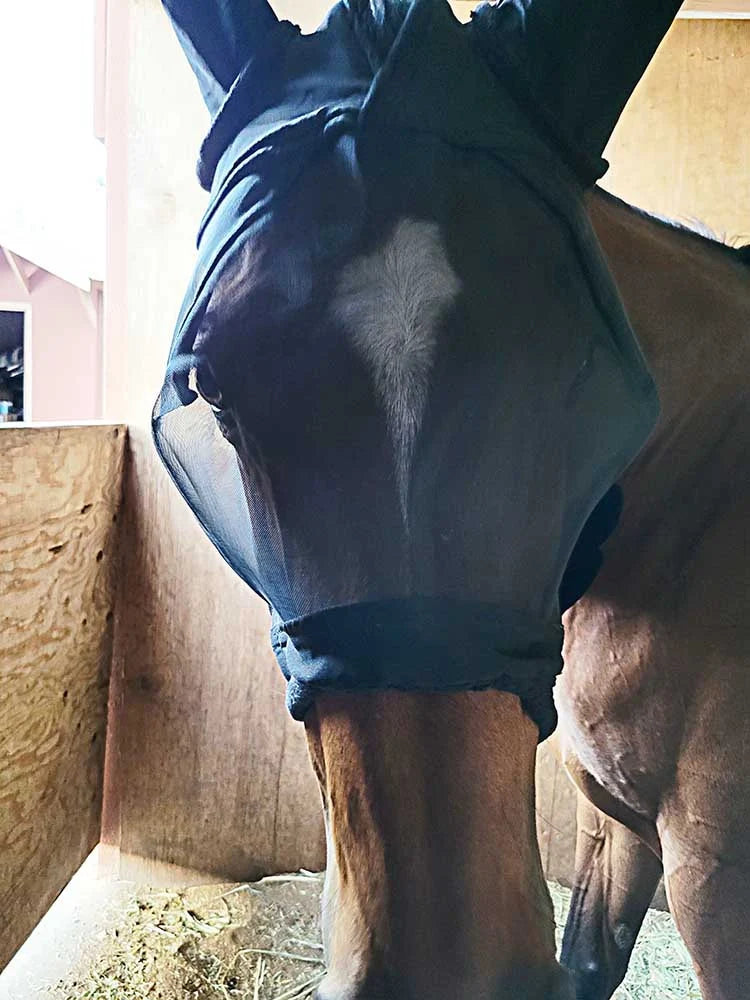 Grewal Equestrian - Fly Mask with Lycra Ears