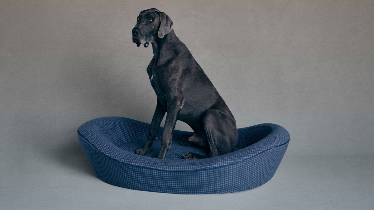 Enid Blythe Timeless Dog Bed in Wren's Blueprint