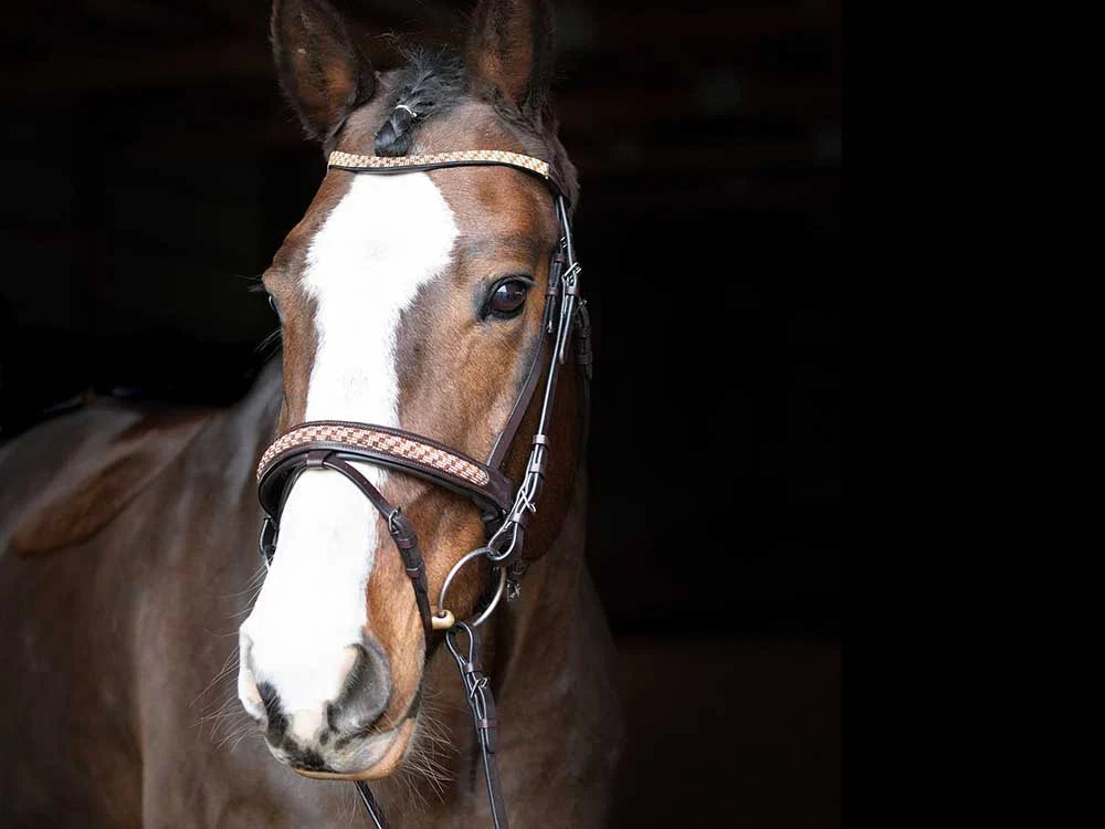 Grewal Equestrian - Bonn Beaded Dressage Bridle