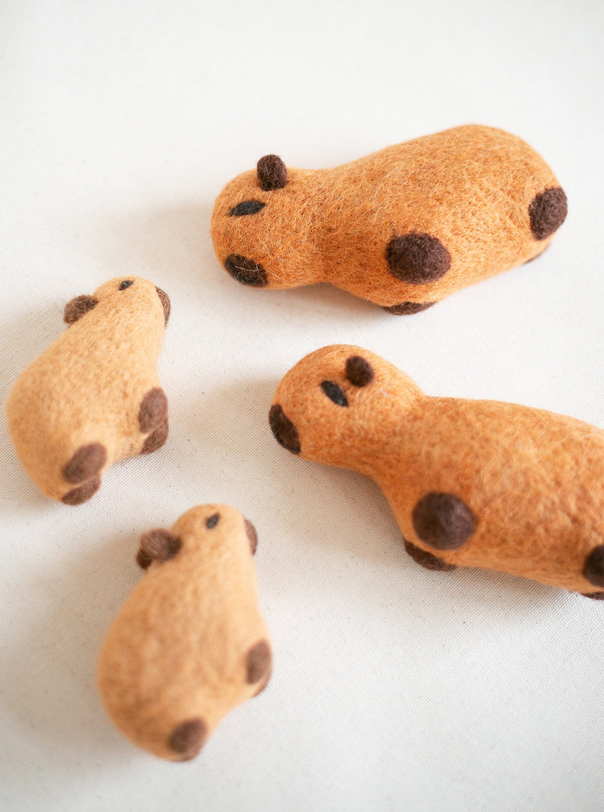 MODERNBEAST - Capybara Wool Dog Toy