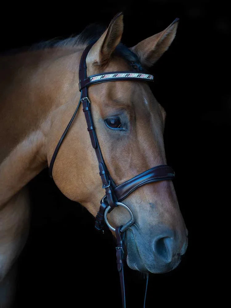 Grewal Equestrian - Cologne Snaffle Bridle with Beaded Browband