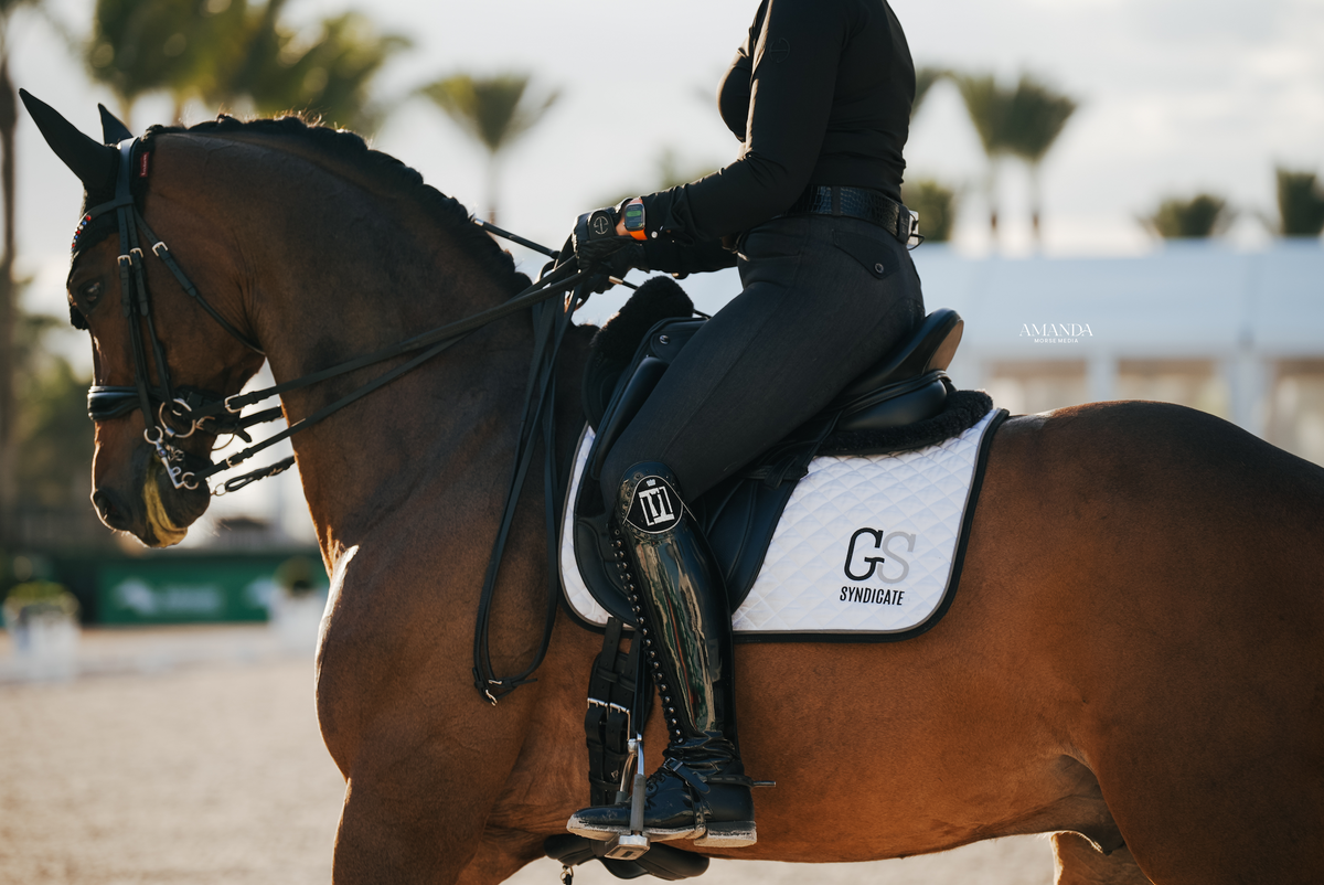 Halter Ego - Evolution Heritage Denim Full Seat Breeches - Black