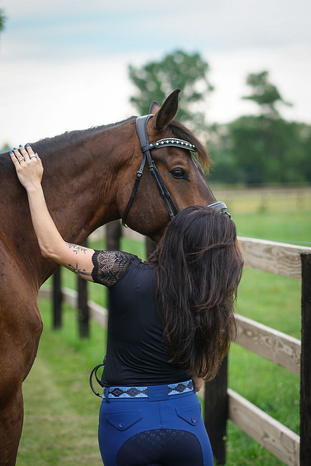 Halter Ego - Evolution Contrast Full Seat Breeches - Cobalt Blue & Navy Blazer Seat