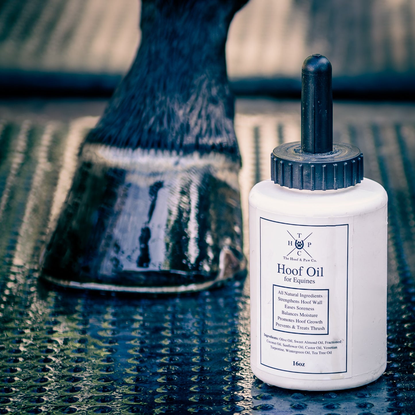 The Hoof & Paw Co. Hoof Oil for Horses