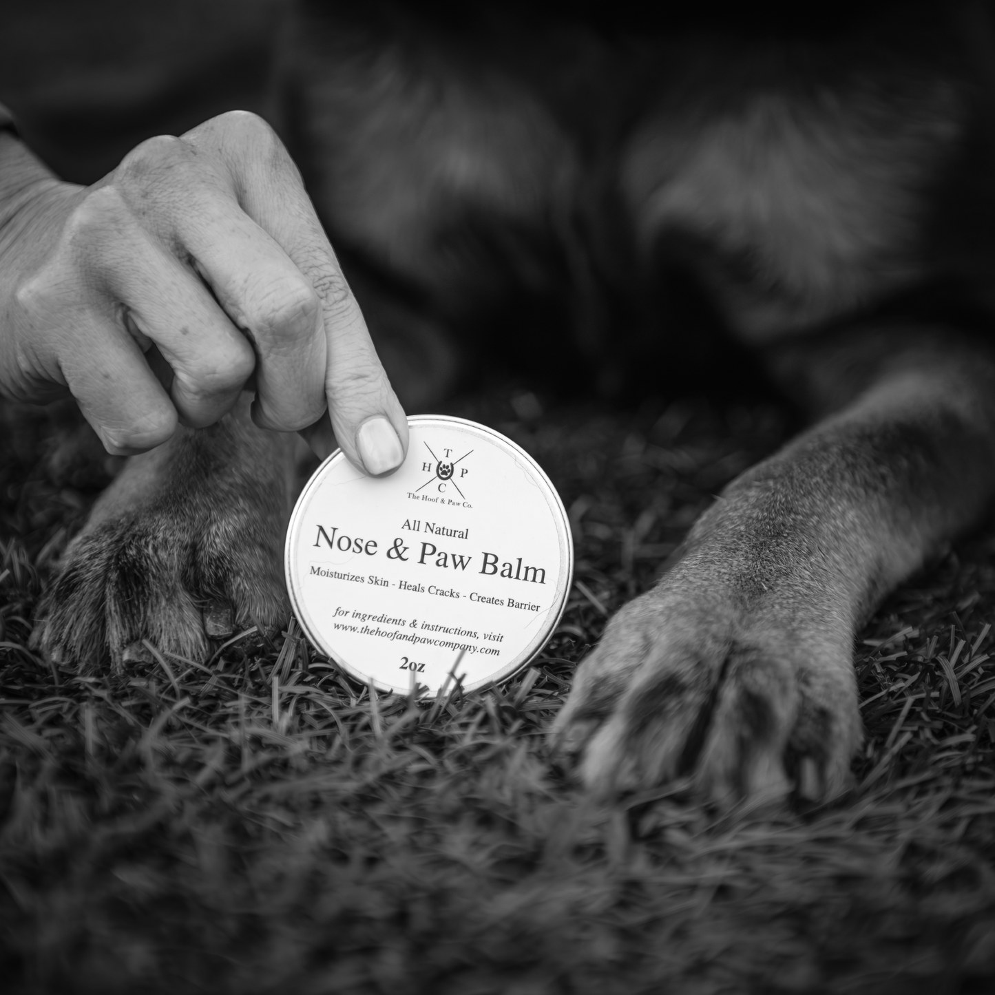 The Hoof & Paw Co. Nose & Paw Balm for Dogs - 2oz