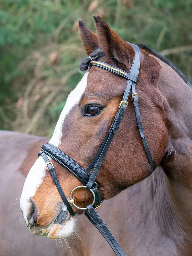 Grewal Equestrian - Danube Dressage Bridle with Clincher Browband
