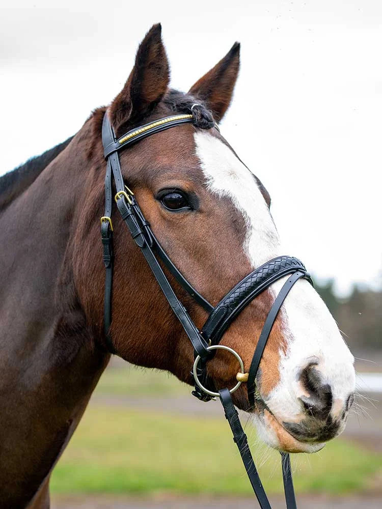 Grewal Equestrian - Danube Dressage Bridle with Clincher Browband