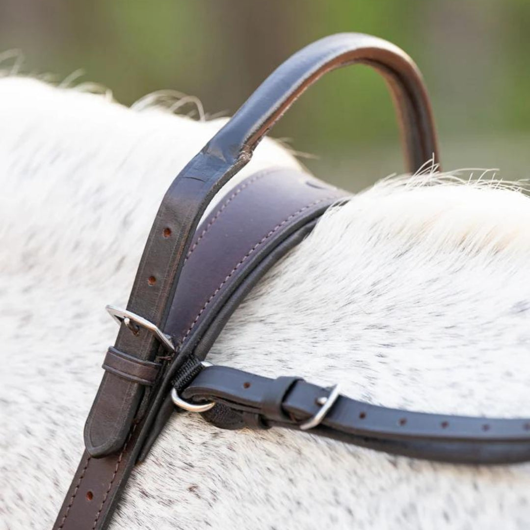 Correct Connect - Double Neck Strap