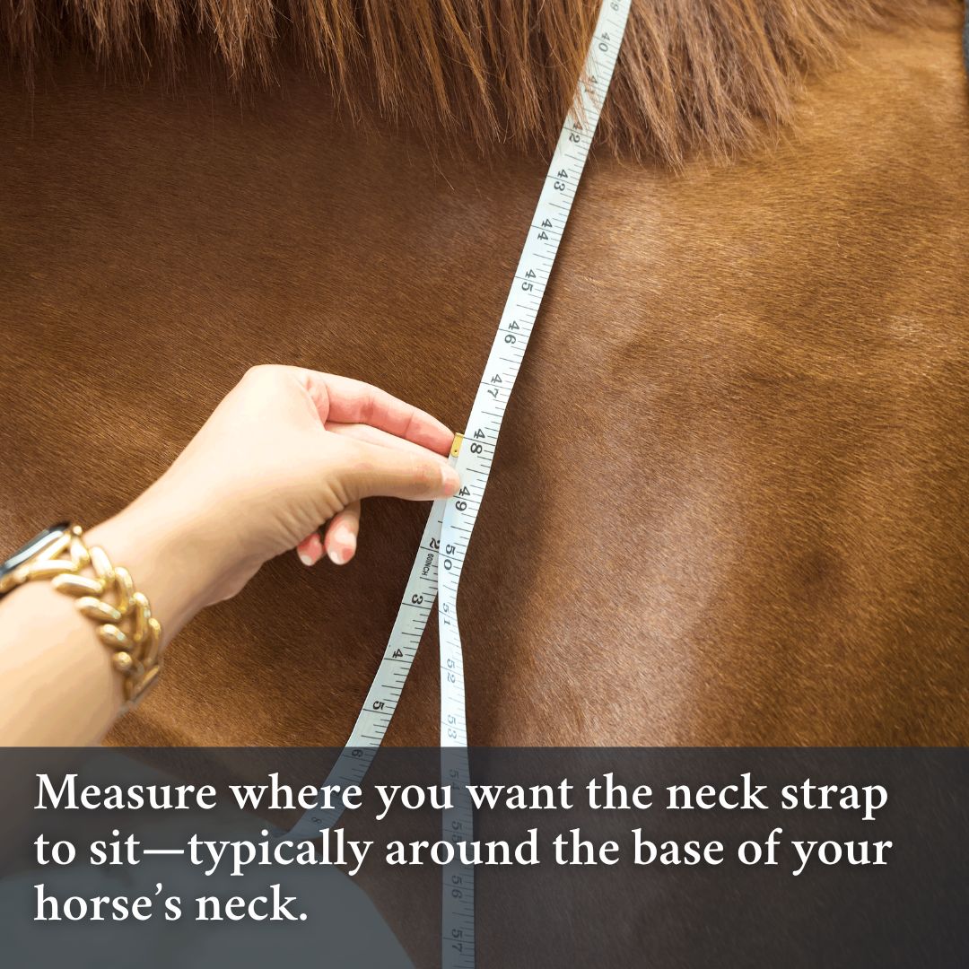 Correct Connect - Double Neck Strap