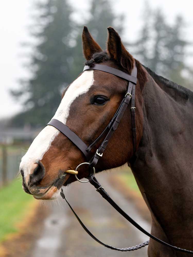 Grewal Equestrian - Sawgrass Snaffle Bridle