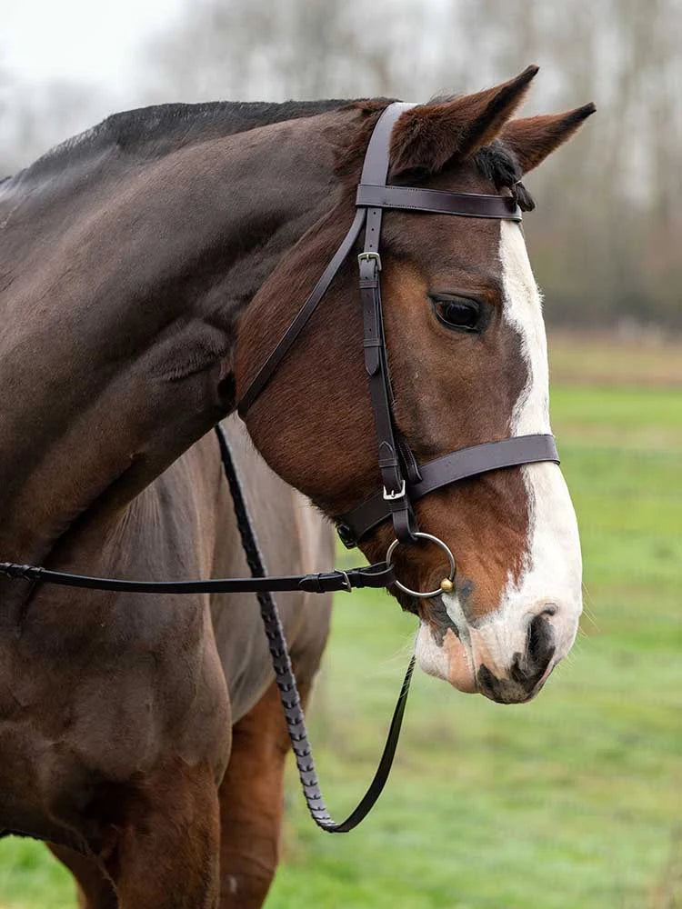 Grewal Equestrian - Sawgrass Snaffle Bridle