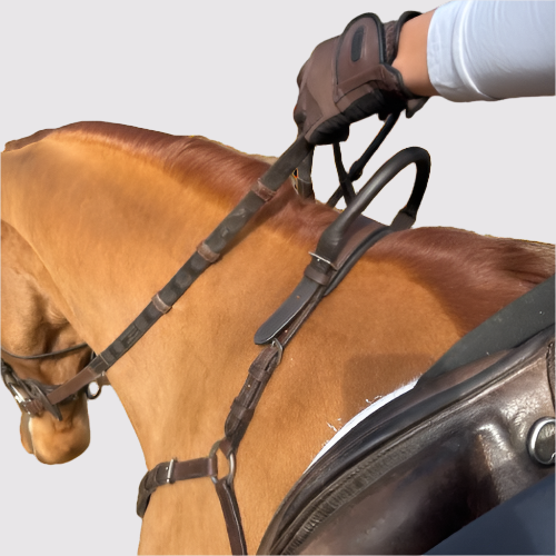 Correct Connect - Free Motion Breastplate with Double Neck Strap