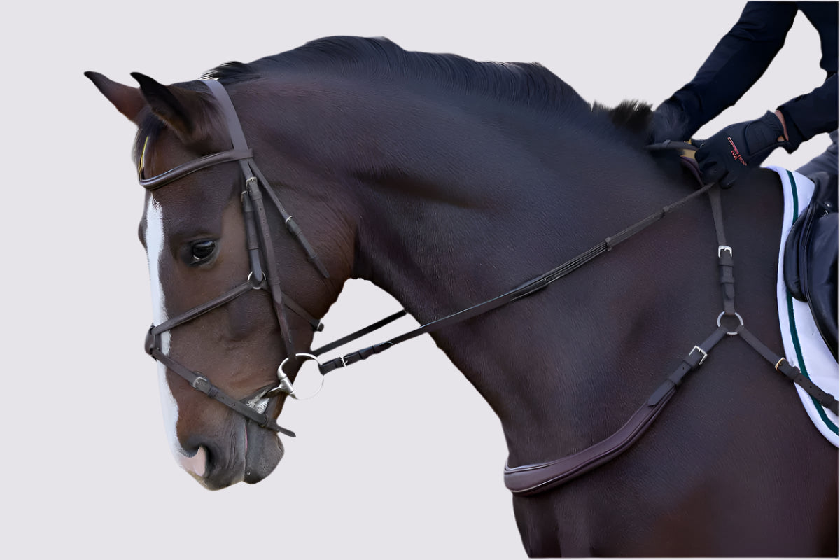 Correct Connect - Free Motion Breastplate