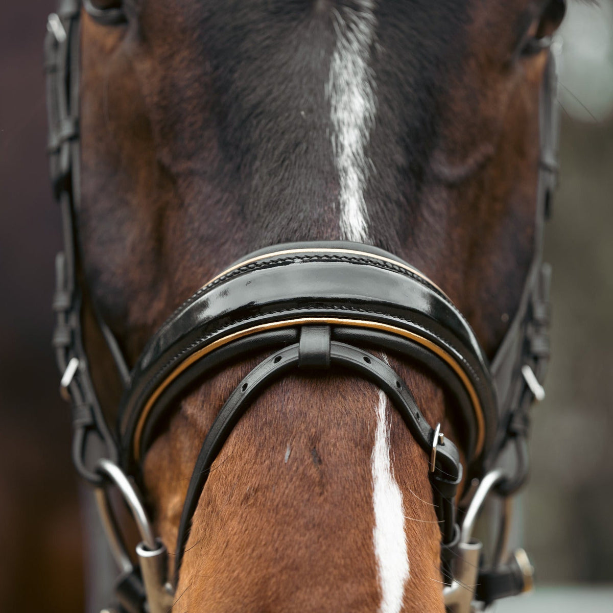 Halter Ego - Geneva - Black Patent Snaffle Bridle with Metallic Gold Piping