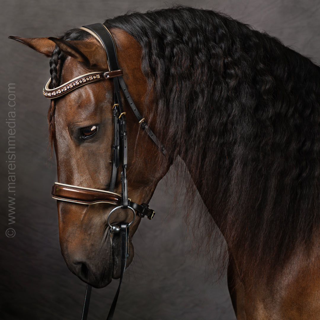 Halter Ego - The Champagne Black Leather Snaffle Bridle