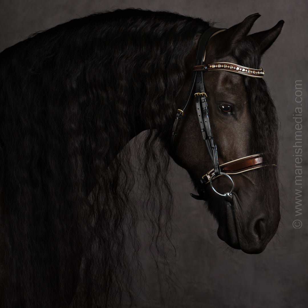 Halter Ego - The Champagne Black Leather Snaffle Bridle
