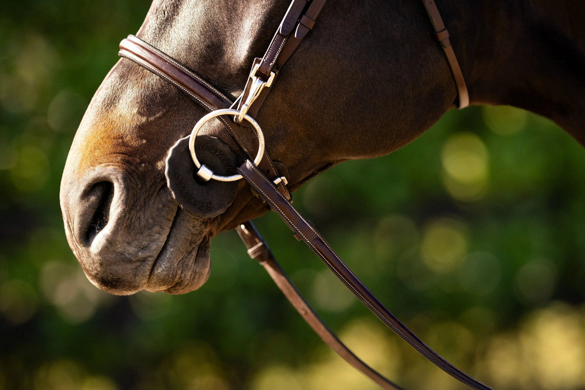 Huntley Equestrian Sedgwick Fancy Stitched Bridle with Cheek Clips and Reins